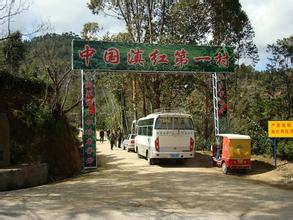 凤庆茶叶