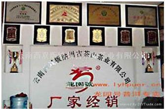 西双版纳茶叶