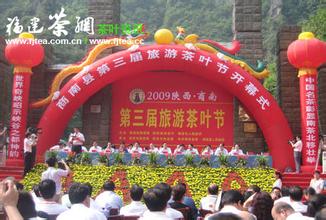 商南春茶