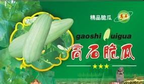 高石脆瓜