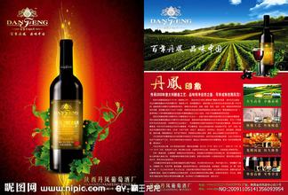 丹凤葡萄酒