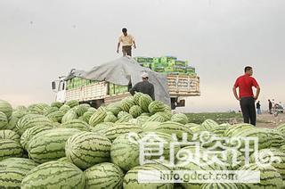 香山压砂西瓜