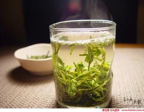 陕西青茶