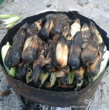 马栏老玉米