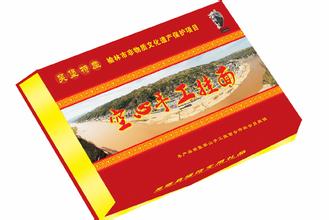 楼祝手工空心挂面