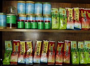 北峰山上白云茶