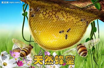 天然蜂蜜