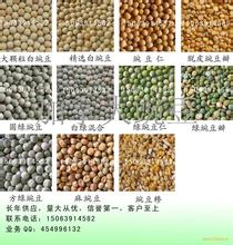 白豌豆